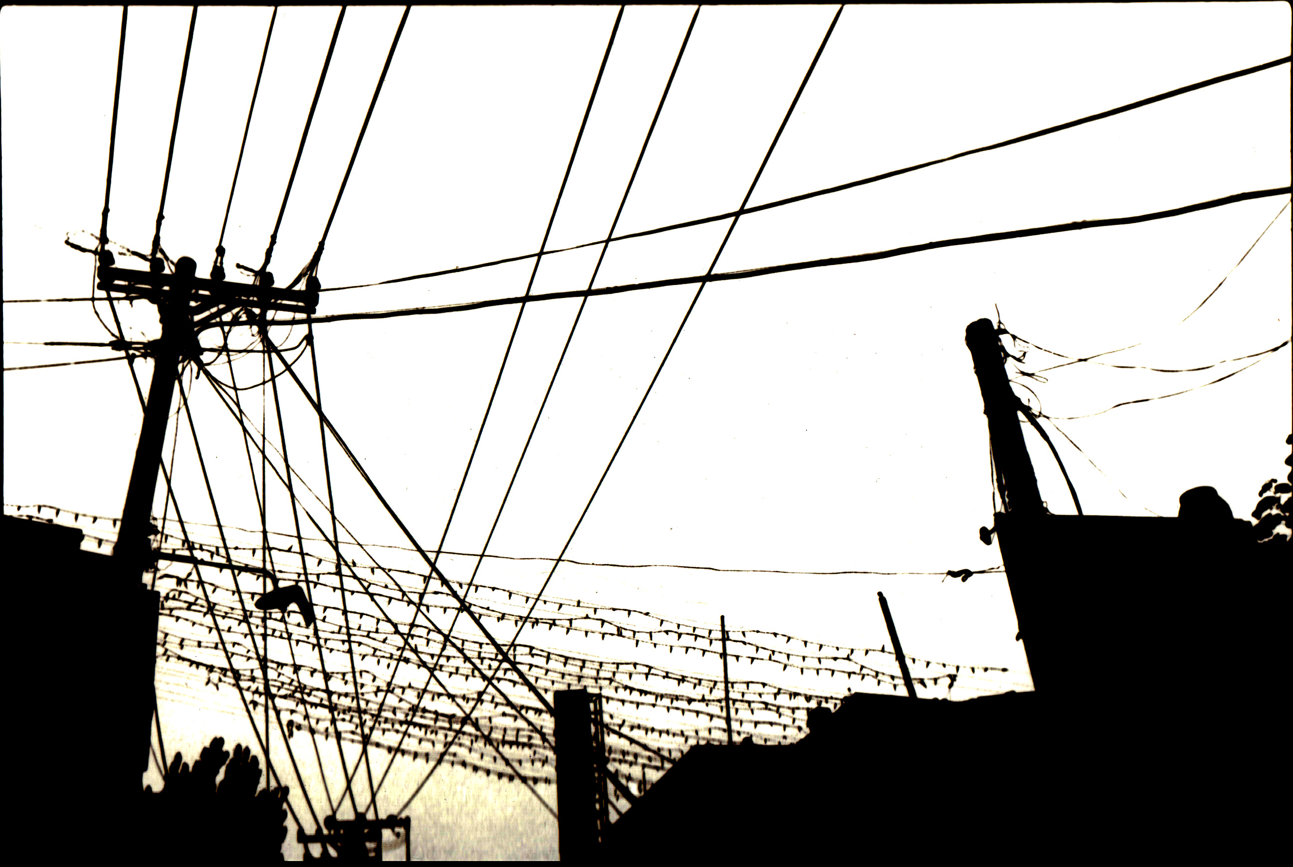 THE ESCAPE (CHINESE REQUIEM)