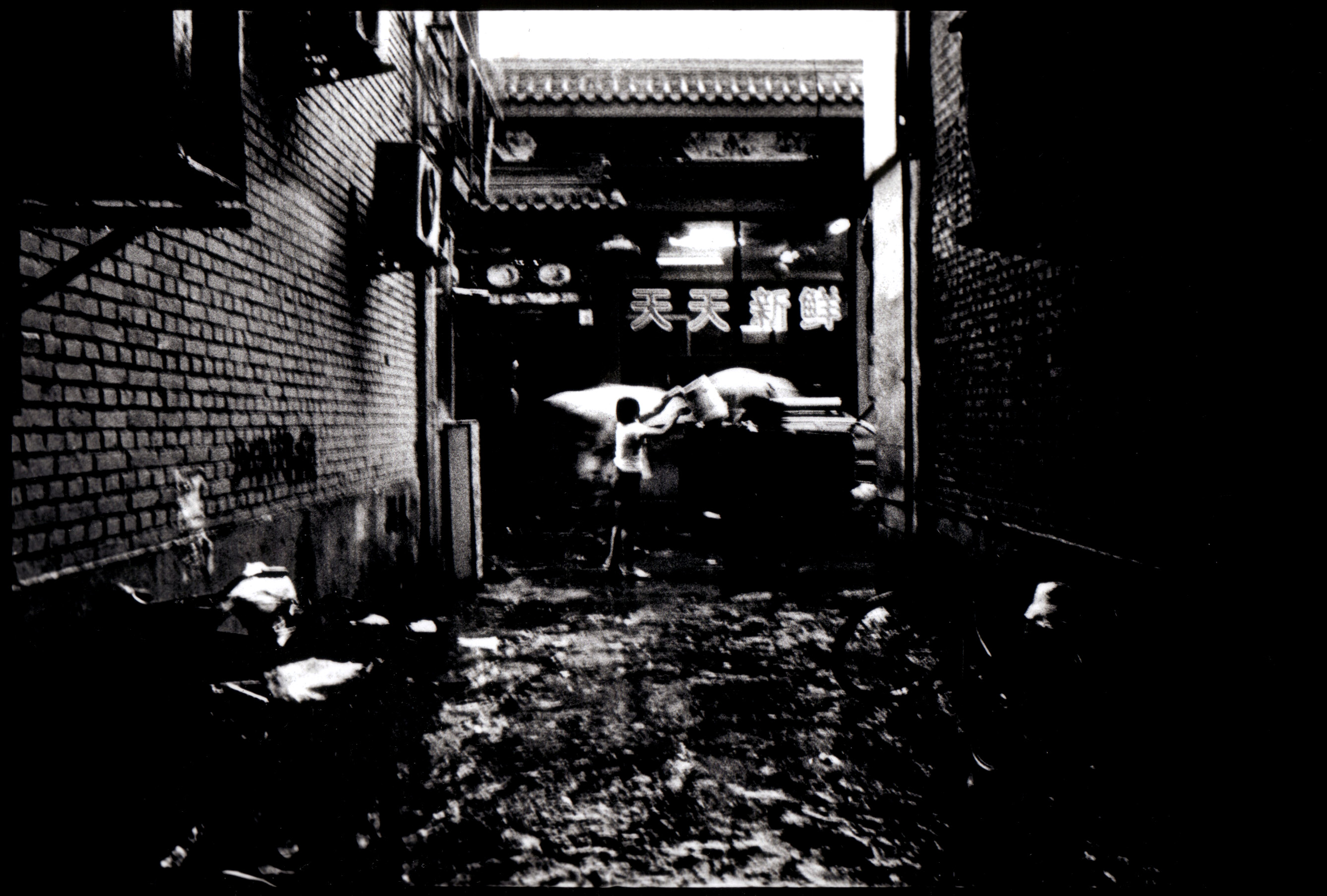 THE ESCAPE (CHINESE REQUIEM)