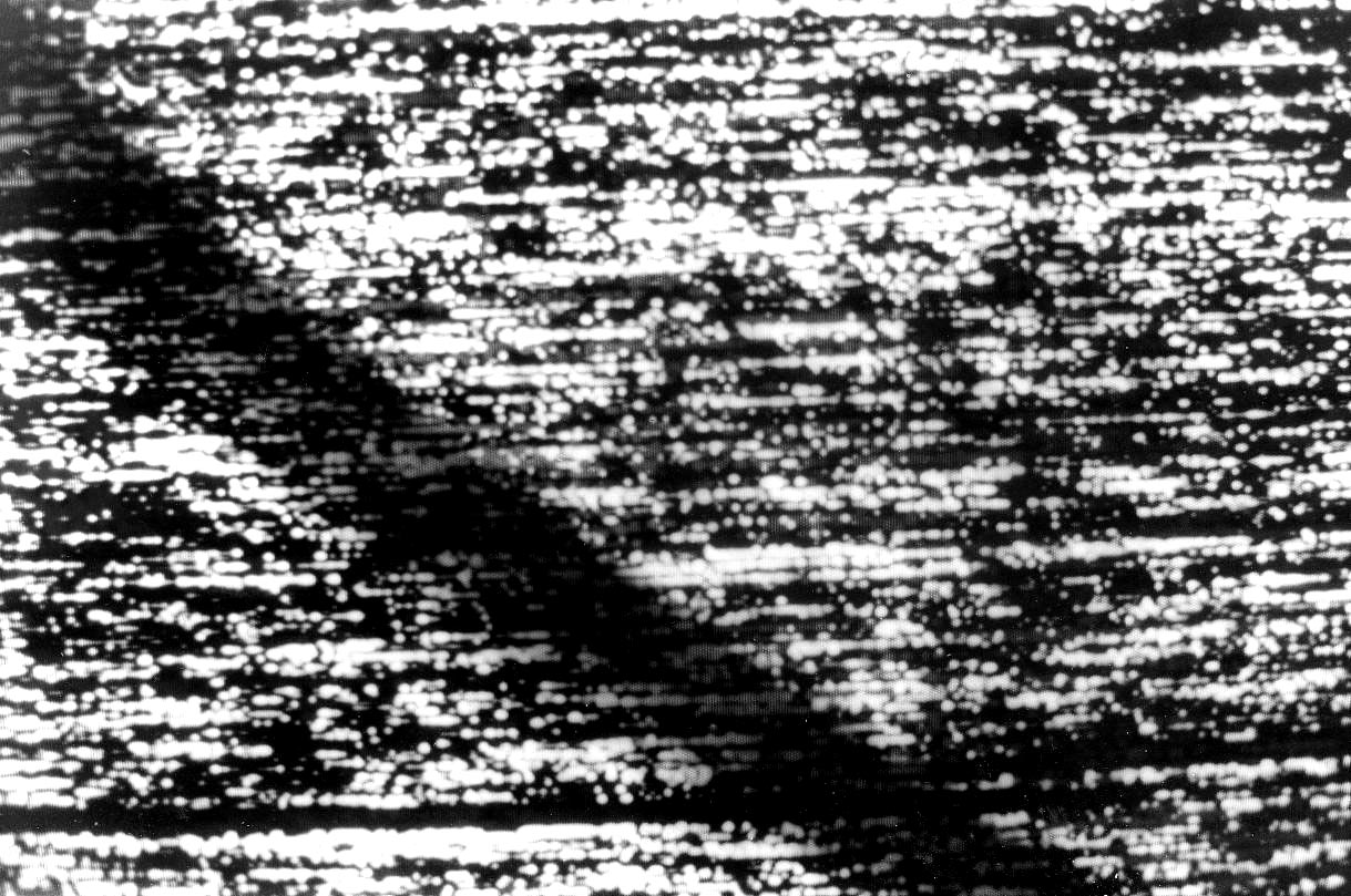 LES VIVANTS ET LES MORTS