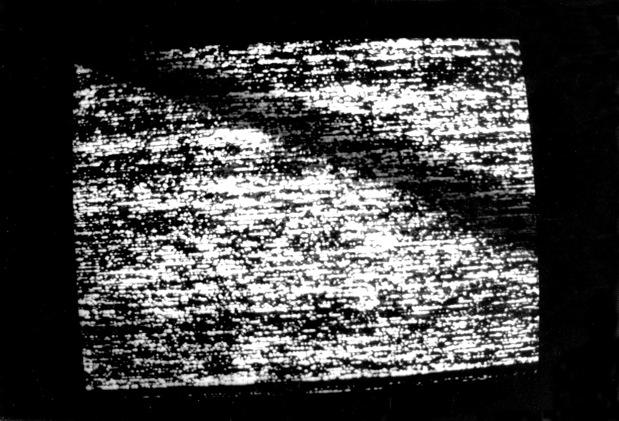 LES VIVANTS ET LES MORTS